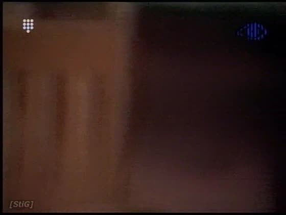 StiG - Big Brother Madness.avi