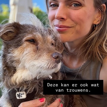 Tamara Brinkman - Rare Event and Candid Collection in screenshot_2025 07 05 10 48 44 52_1c337646f29875672b5a61192b9010f9.jpg - hidden celebrity photo